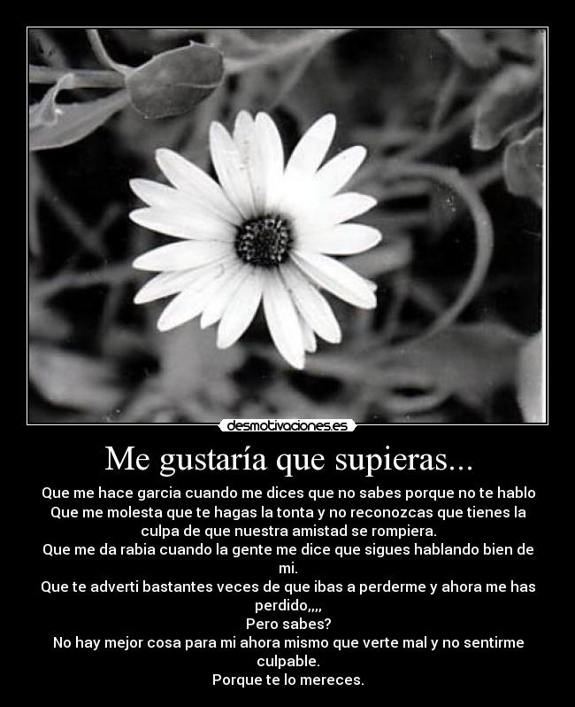 Me gustaría que supieras... - Que me hace garcia cuando me dices que no sabes porque no te hablo
Que me molesta que te hagas la tonta y no reconozcas que tienes la
culpa de que nuestra amistad se rompiera.
Que me da rabia cuando la gente me dice que sigues hablando bien de
mi.
Que te adverti bastantes veces de que ibas a perderme y ahora me has
perdido,,,,
Pero sabes?
No hay mejor cosa para mi ahora mismo que verte mal y no sentirme
culpable.
Porque te lo mereces.