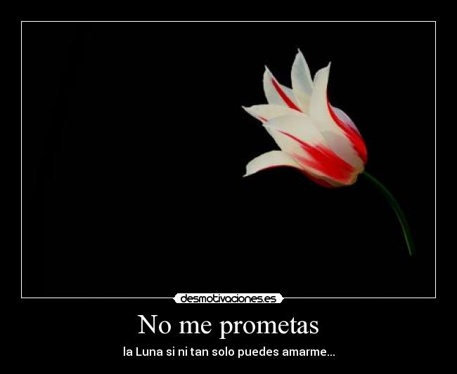 No me prometas - la Luna si ni tan solo puedes amarme...