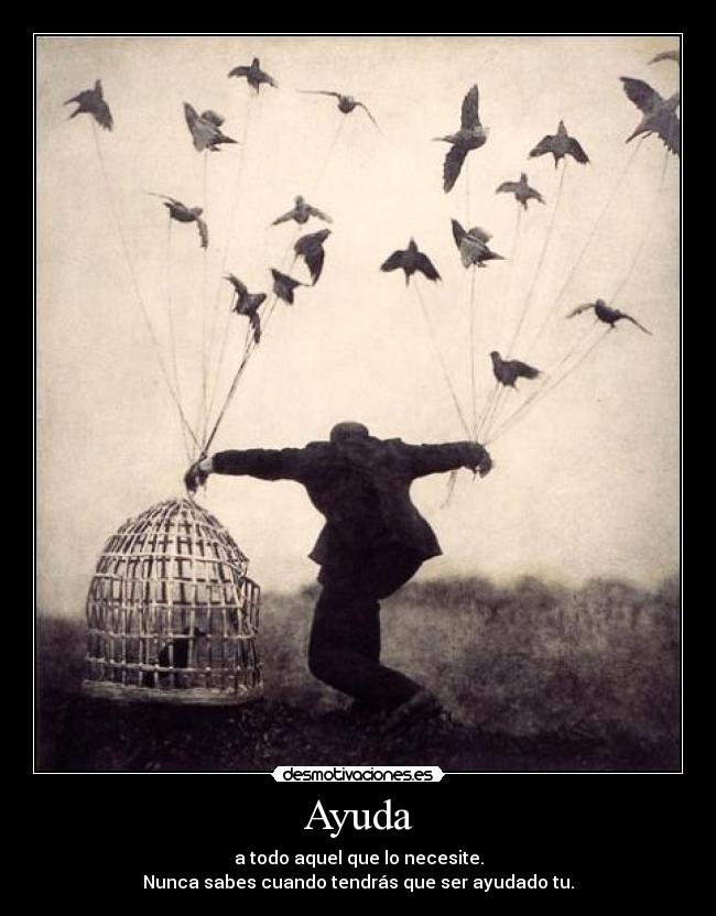 Ayuda - 