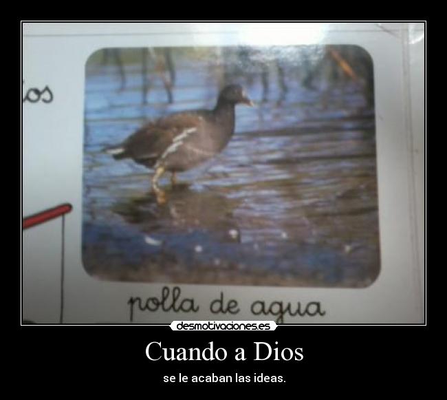 Cuando a Dios -
