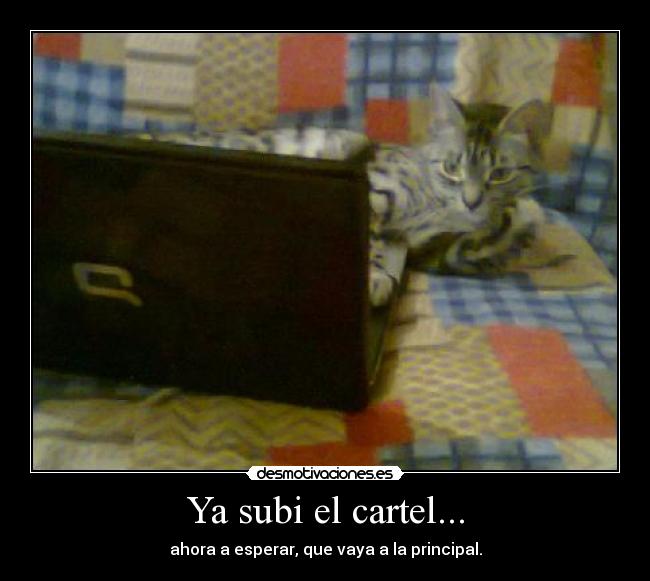 Ya subi el cartel... - ahora a esperar, que vaya a la principal.