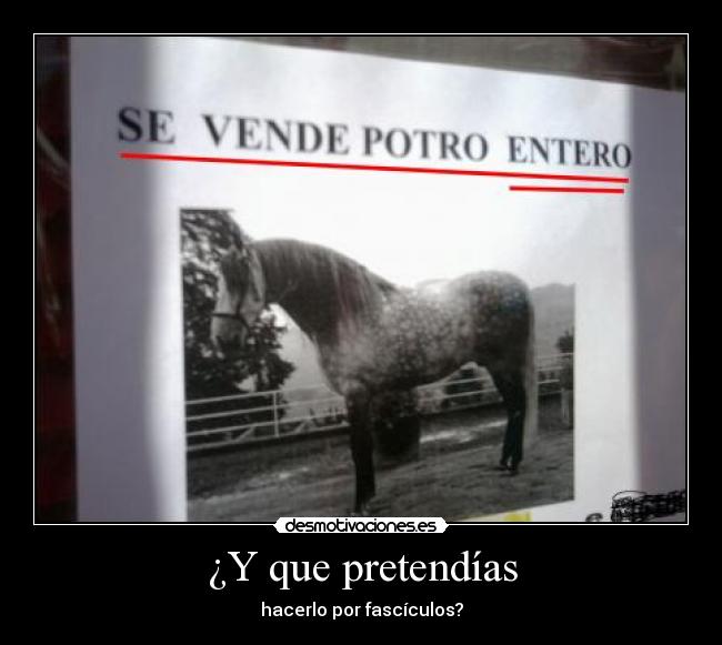 ¿Y que pretendías - hacerlo por fascículos?