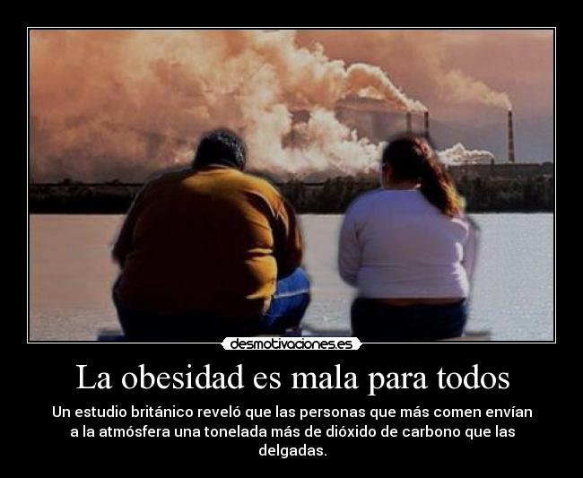 carteles obesidad desmotivaciones