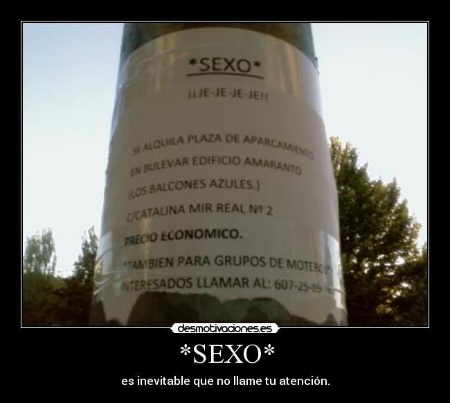 *SEXO* - es inevitable que no llame tu atención.