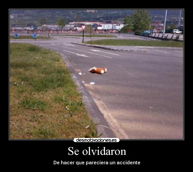 carteles peluche destrozado oviedo carlos tartiere imagen sin sentido desmotivaciones