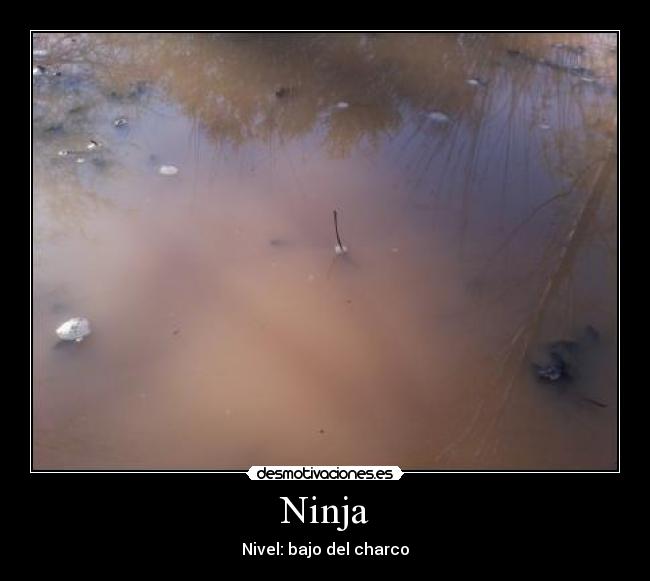 Ninja - Nivel: bajo del charco