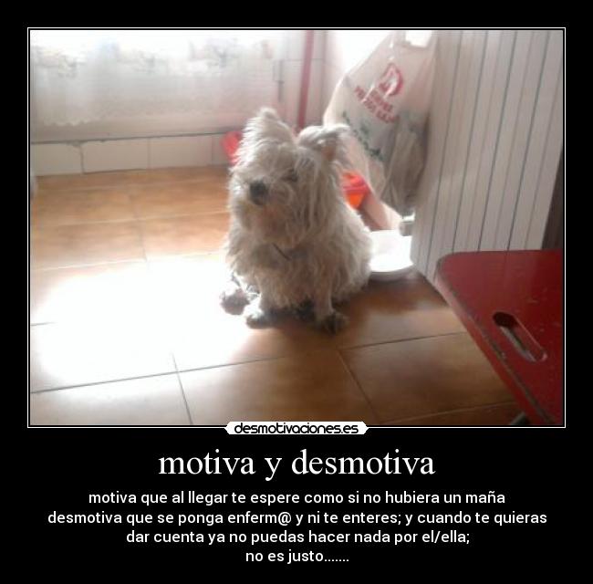 motiva y desmotiva - motiva que al llegar te espere como si no hubiera un maña
desmotiva que se ponga enferm@ y ni te enteres; y cuando te quieras
dar cuenta ya no puedas hacer nada por el/ella;
no es justo.......