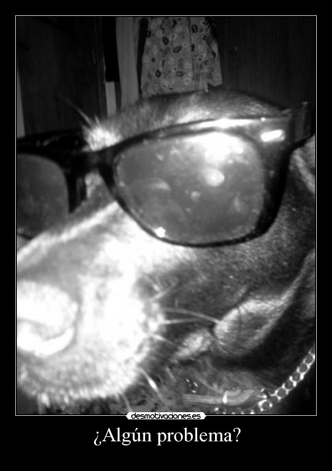 ¿Algún problema? -