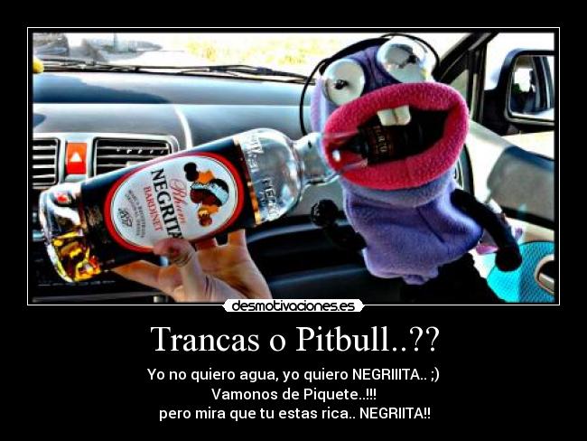 Trancas o Pitbull..?? - 