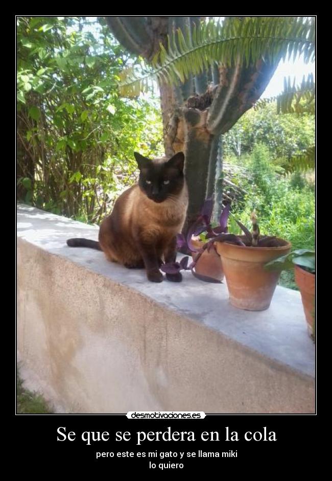 carteles mentiras desmotivaciones