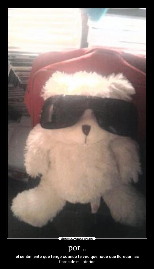 por... - el sentimiento que tengo cuando te veo que hace que florecan las flores de mi interior