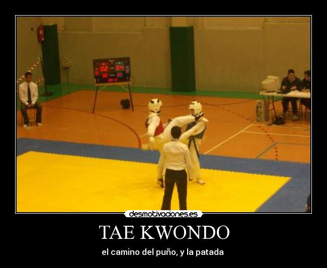 carteles taekwondo desmotivaciones