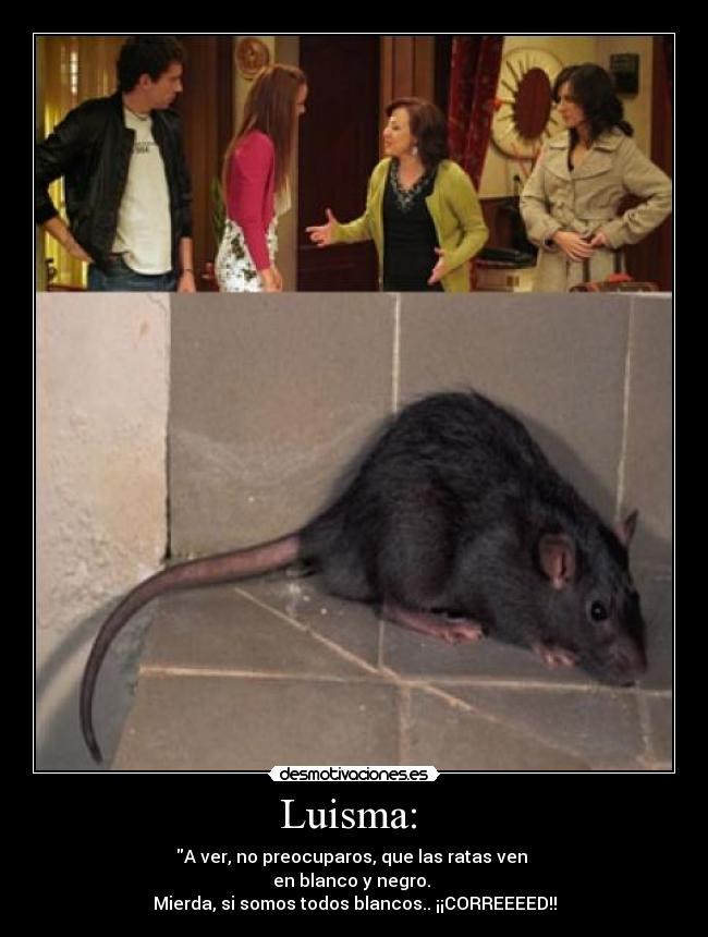 Luisma: - A ver, no preocuparos, que las ratas ven
en blanco y negro.
Mierda, si somos todos blancos.. ¡¡CORREEEED!!