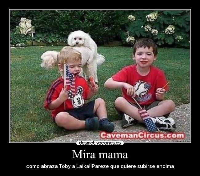 Mira mama - como abraza Toby a Laika!!Pareze que quiere subirse encima