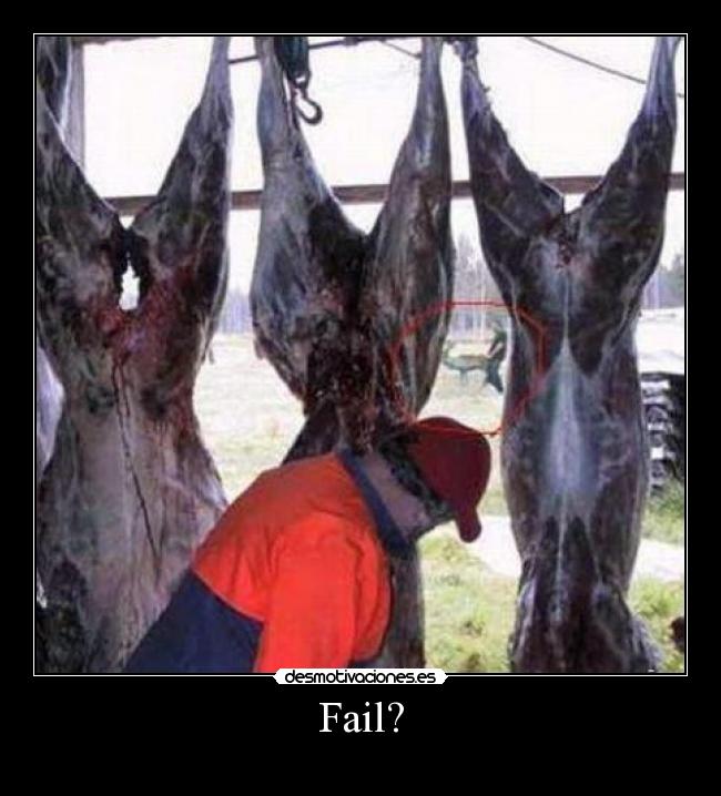 Fail? - 