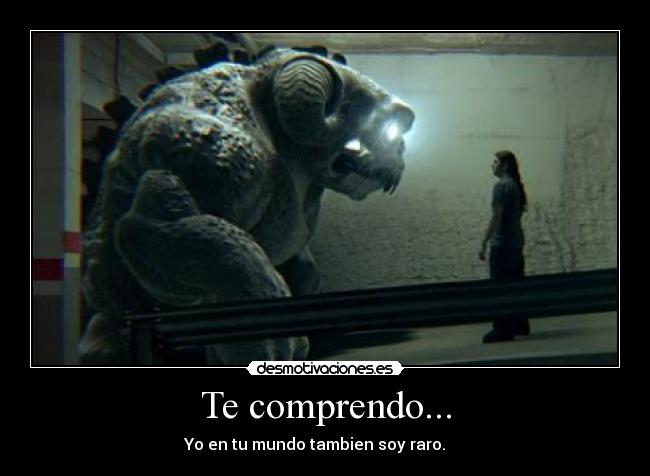 carteles wete47 desmotivaciones