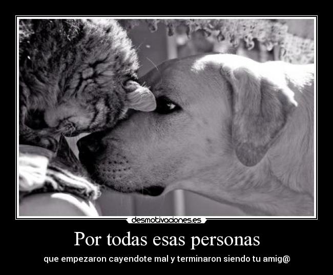 Por todas esas personas - 