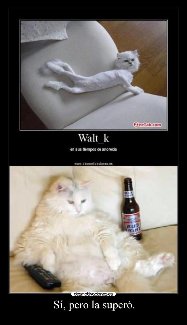 Sí, pero la superó. -