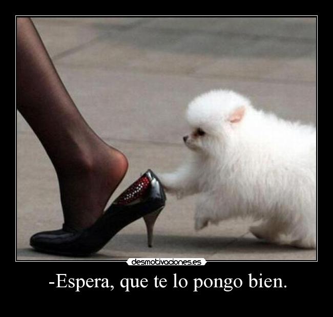 -Espera, que te lo pongo bien. -