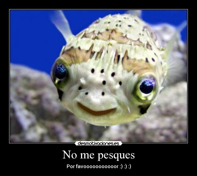 No me pesques - Por favooooooooooor :) :) :)