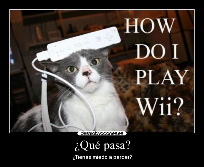 carteles cat gato wii desmotivaciones