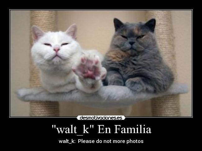 walt_k En Familia -