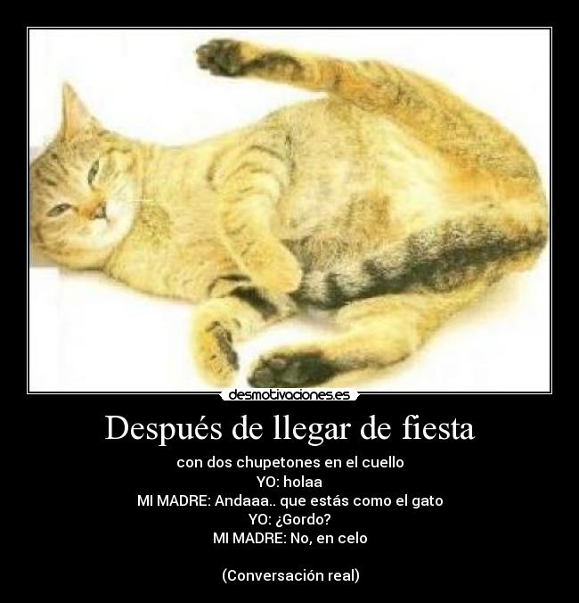Después de llegar de fiesta - con dos chupetones en el cuello
YO: holaa
MI MADRE: Andaaa.. que estás como el gato
YO: ¿Gordo?
MI MADRE: No, en celo

(Conversación real)