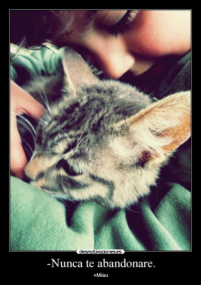 -Nunca te abandonare. -