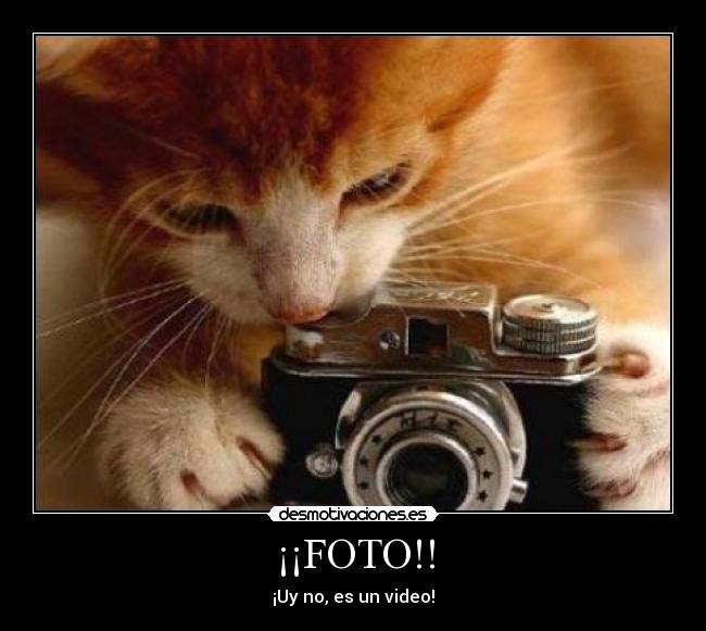 ¡¡FOTO!! - 