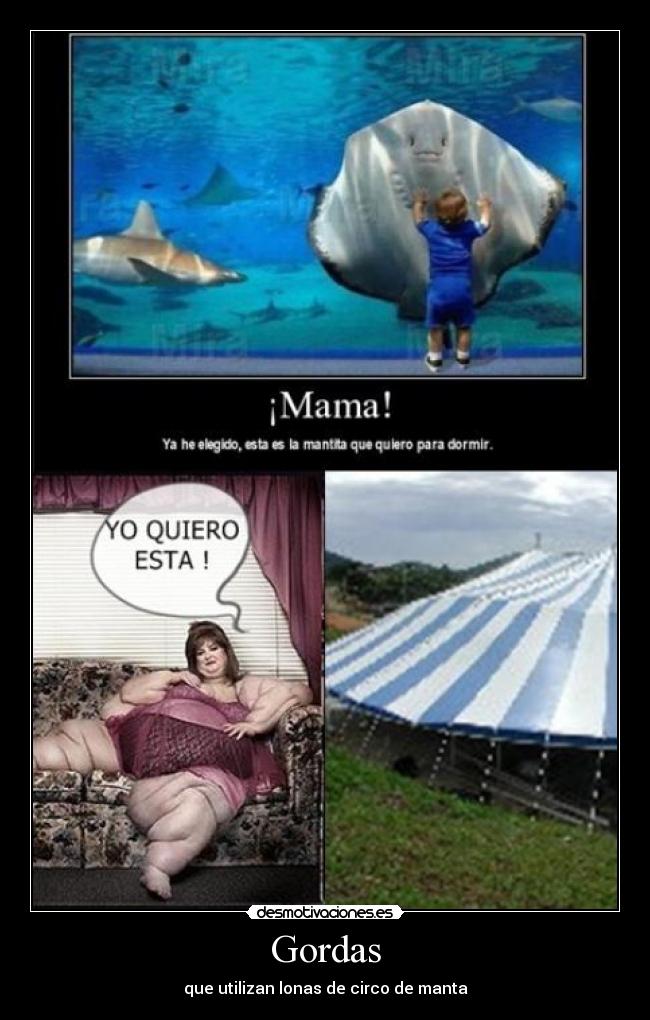 Gordas - que utilizan lonas de circo de manta