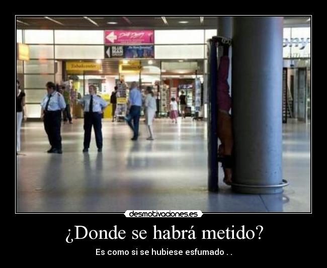 ¿Donde se habrá metido? - 