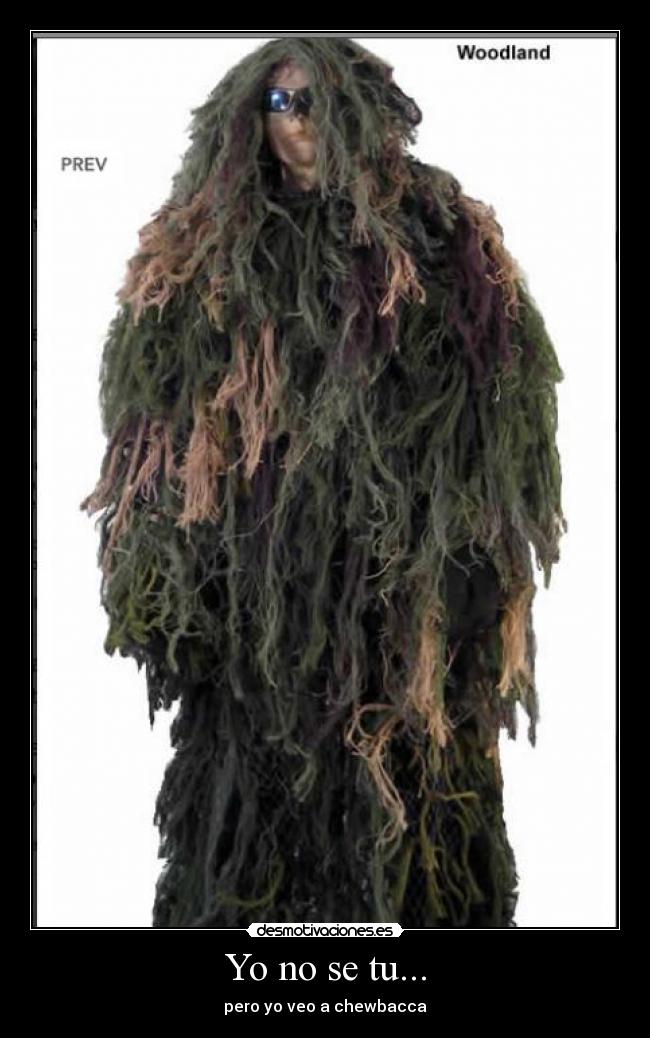 Yo no se tu... - pero yo veo a chewbacca