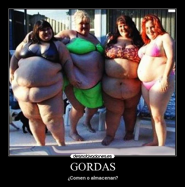 GORDAS -
