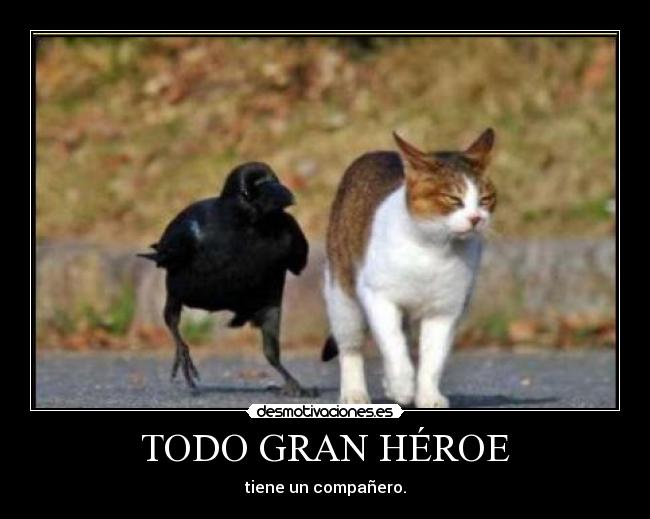 TODO GRAN HÉROE - tiene un compañero.
