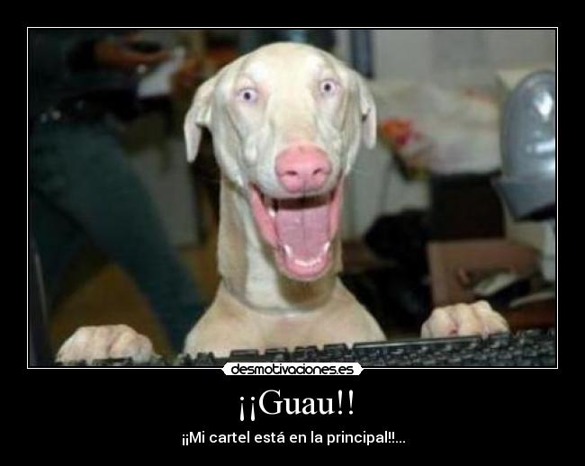 ¡¡Guau!! -