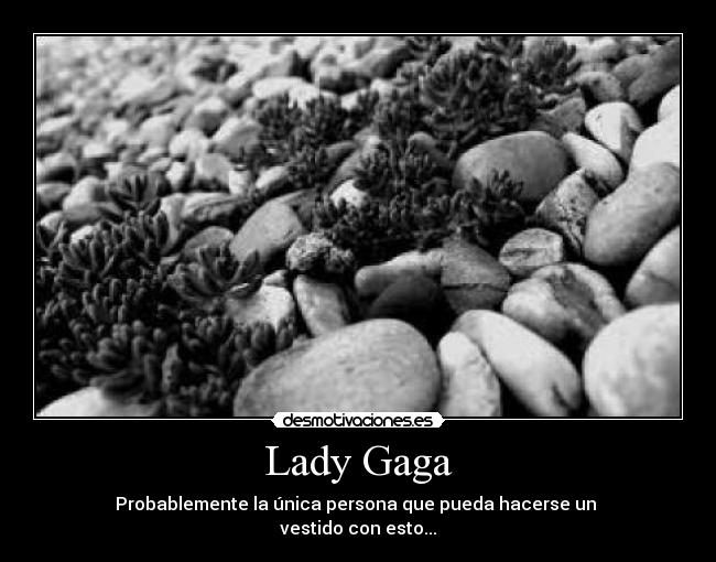 Lady Gaga -