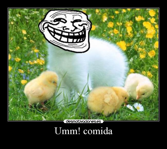 Umm! comida -