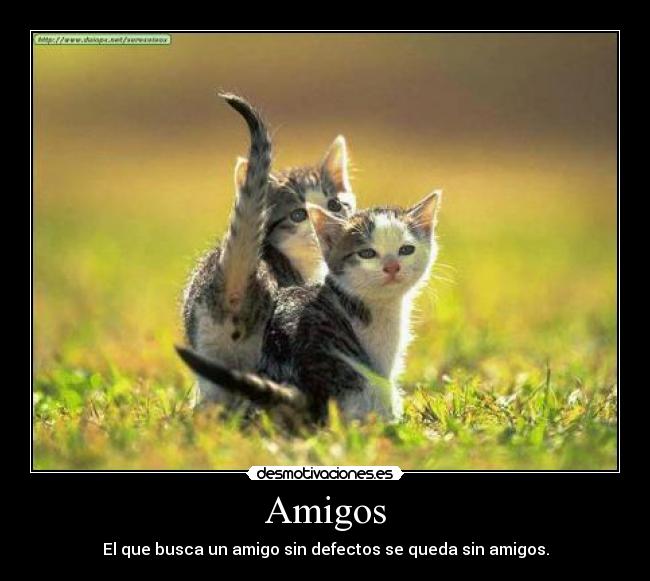 Amigos -
