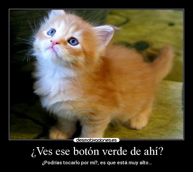 ¿Ves ese botón verde de ahí? -