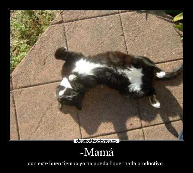 -Mamá -