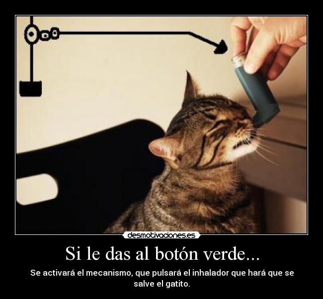 carteles gato desmotivaciones