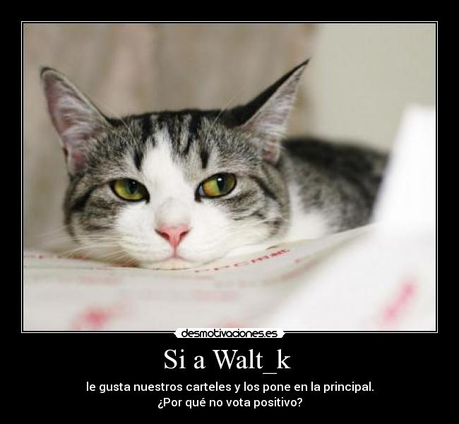 Si a Walt_k  - le gusta nuestros carteles y los pone en la principal.
¿Por qué no vota positivo?