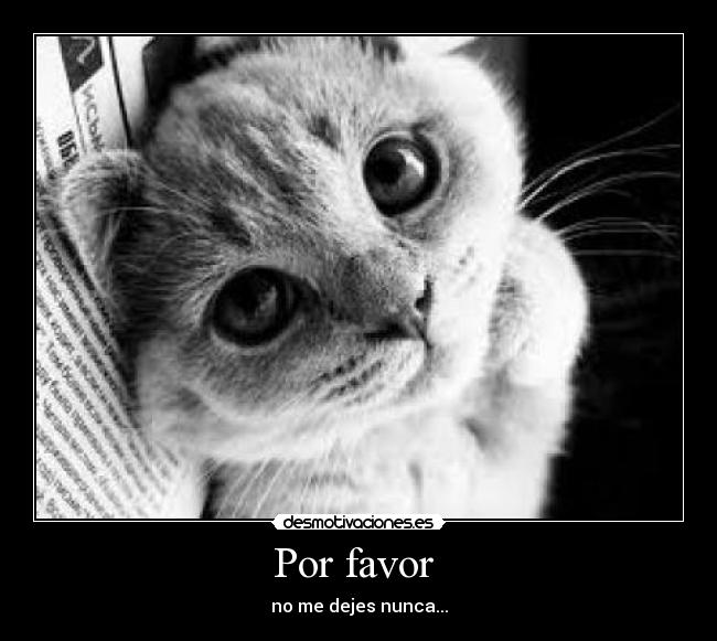 Por favor -