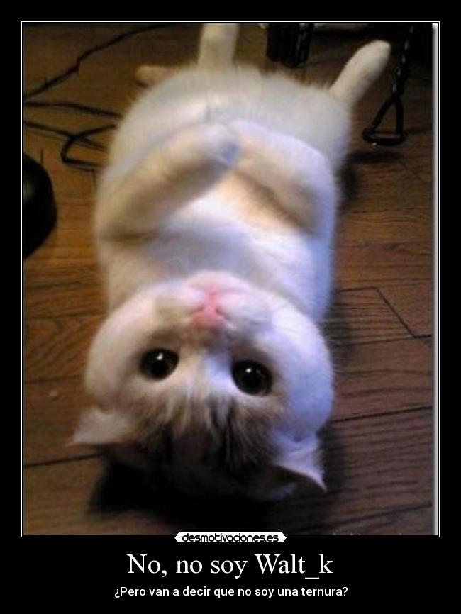 No, no soy Walt_k -