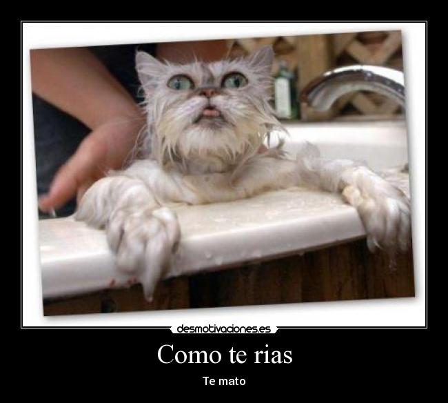 Como te rias -
