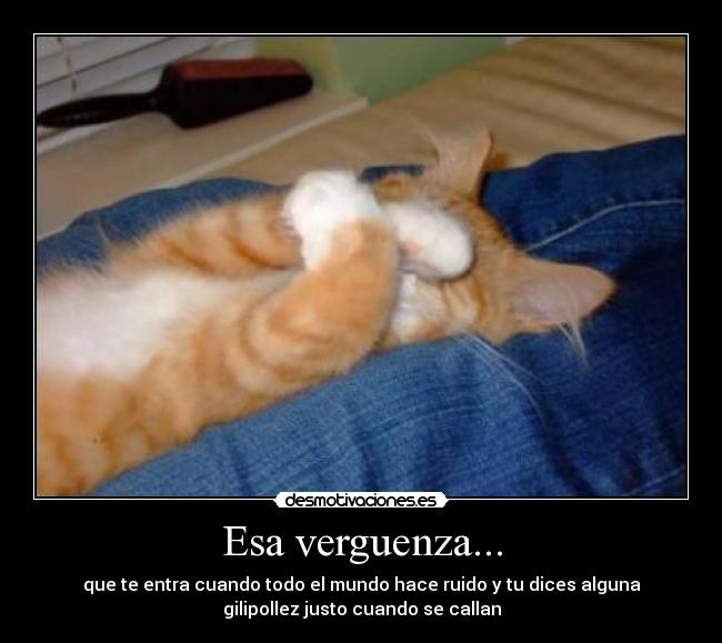Esa verguenza... -