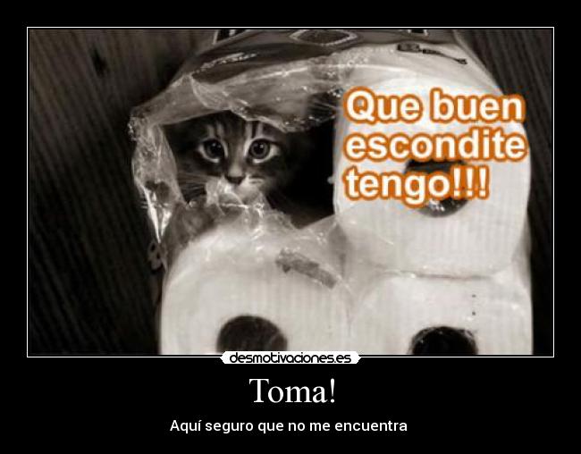 Toma! - Aquí seguro que no me encuentra