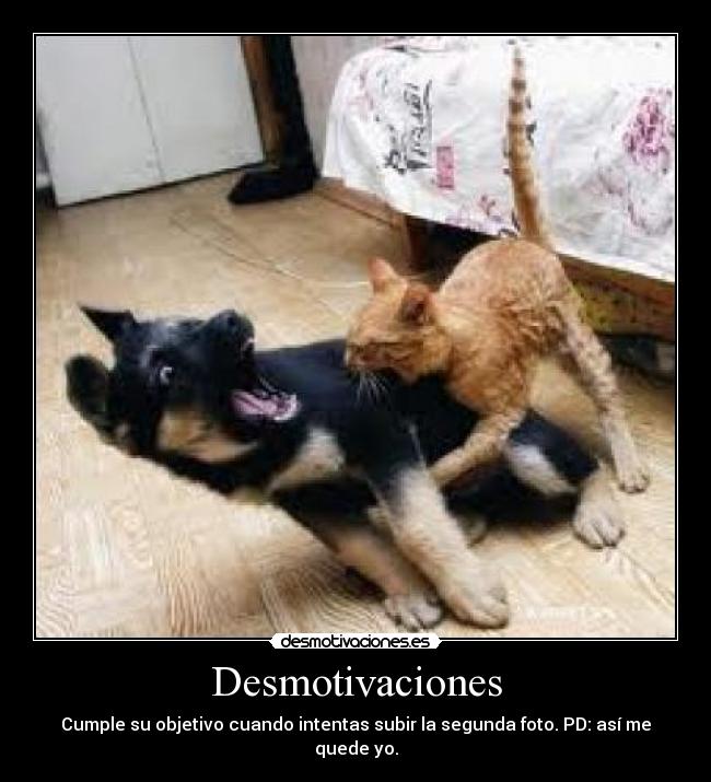 Desmotivaciones - Cumple su objetivo cuando intentas subir la segunda foto. PD: así me quede yo.