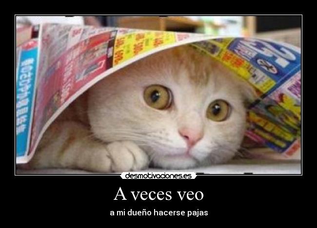 A veces veo - a mi dueño hacerse pajas