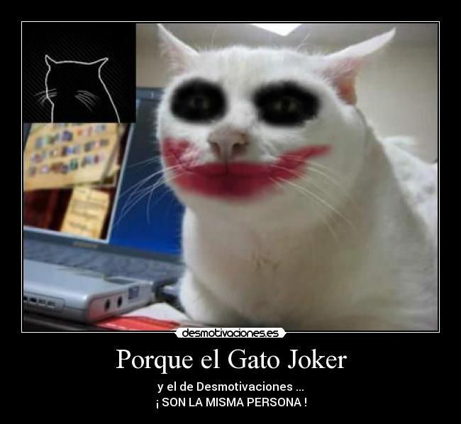 Porque el Gato Joker -